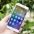 Fake Voicemails Lead to Major Phishing Campaign